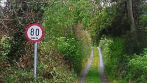 Review of speed limits criticised by FG council leader John Sheahan