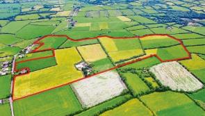 Huge interest in auction of prime Limerick farm