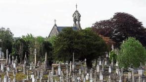 Limerick dog owners 'flouting cemetery bye-laws'