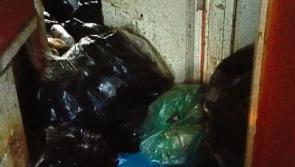 Limerick council to ramp up inspection of authority housing