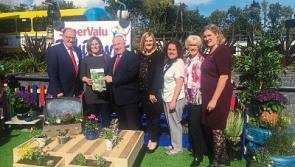 Tidy Towns joy for Limerick City Centre