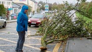 #OPHELIA: Massive Limerick clean-up underway as storm blows over