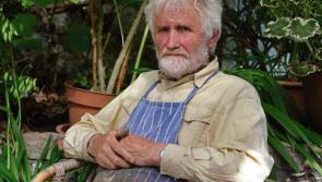 Major retrospective of German artist's work at Hunt Museum to mark his 80th