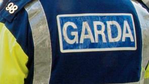 Man found dead in Dublin was apprentice plumber in Limerick