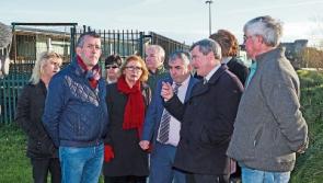 Limerick flood defence plans to be unveiled