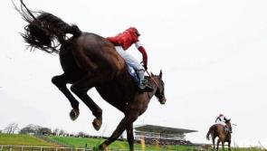 WATCH: Jockey's stunning recovery to score sensational win at Limerick