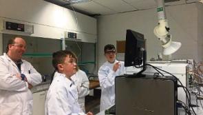 Spotlight to shine on Limerick's bright sparks at Young Scientist exhibition