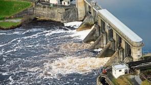 Significant impact from 'major fish kill' at ESB salmon hatchery - Limerick councillor 
