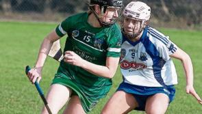 Limerick star nominated for February&nbsp;Camogie Player of the Month award