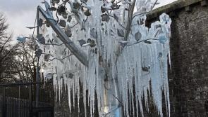 Limerick braces itself for blizzard-like conditions as status red warning takes effect