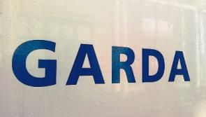 Driver who reversed away from Limerick garda checkpoint was disqualified