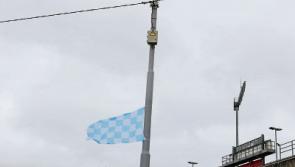 ESB warn Limerick Na Piarsaigh fans over tying flags to&nbsp;electricity poles