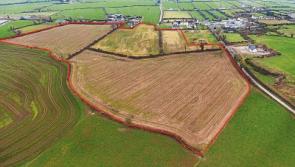 Land Ahoy! Upcoming Limerick auctions and sales by private treaty&nbsp;