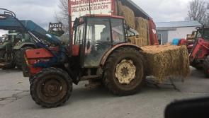 Phones 'hopping' as Limerick farmers look for fodder