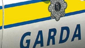 Limerick&nbsp;garda&iacute;&nbsp;arrest and charge man in connection with 9 burglaries