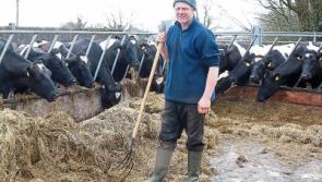 Fodder crisis: &lsquo;I didn&rsquo;t sleep for 48 hours&rsquo; reveals Limerick farmer&nbsp;