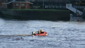 Emergency services in Limerick stood down as river rescue call is deemed a hoax