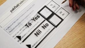 Polling stations across Limerick close, with steady voter turnout reported