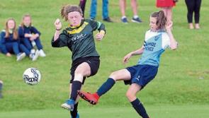Mixed opening day for Limerick sides at Gaynor Cup