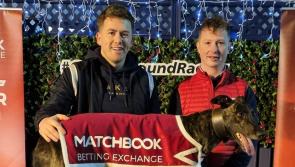 Matchbook Irish St Leger semi-final line-up confirmed at Limerick  Greyhound Stadium