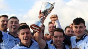 Na Piarsaigh claim Limerick intermediate hurling title