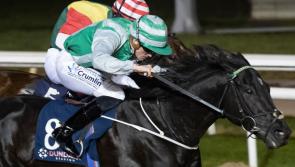 More Limerick success on the race track