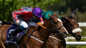 Limerick racing enjoys bumper start to May on the track