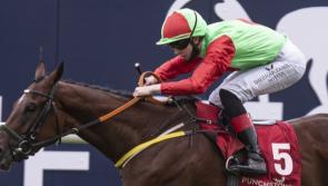 Abbeyfeale jockey scores first double of his career on the track