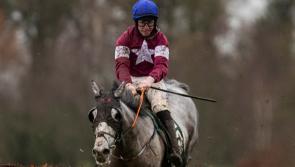 Top class entry for this month's Thyestes Chase at Gowran Park