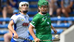 Limerick lose out to Waterford in All-Ireland camogie quarter-final