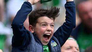 2022 in Review: Limerick's three-in-a-row All-Ireland heroes secure place among hurling greats