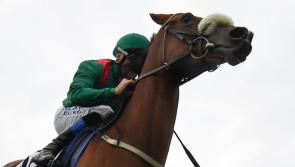 WATCH: Limerick jockey scores thrilling win at Galway Summer Festival