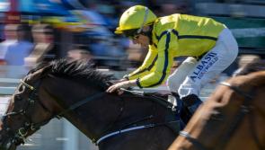 Host of successes for Limerick racing connections