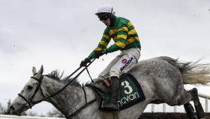 Limerick racehorse  trainers visit winners' enclosure