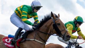 Bumper spell for Limerick racing connections on the track