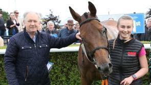 Winners continue to flow for Limerick racing connections