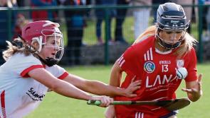 Monaleen claim Limerick intermediate camogie title after victory over Croagh-Kilfinny