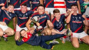 Bruff power home to see off Monaleen in Limerick Premier U19 hurling final