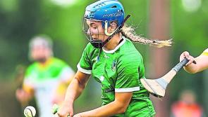 Limerick team to face Antrim in crucial championship game named