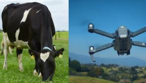 'Dairy drones' could soon be used by Limerick farmers