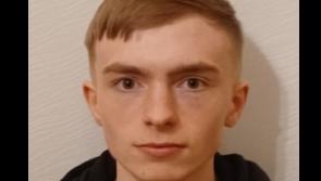 MISSING PERSON: Garda&iacute; appeal for information on teen missing for 11 days