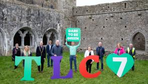 Record number of volunteers sign up for Team Limerick Clean-Up