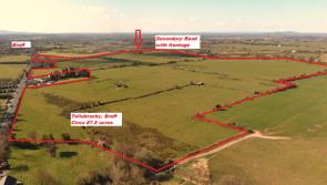 Three Limerick lands sales make over &euro;1m in an hour