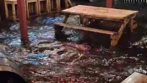 BREAKING: Famous Limerick pub flooded,  multiple trees down as Storm Darragh strikes 