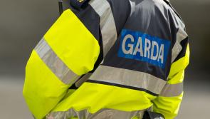Search under way for man armed with sword after Garda struck by car in Dublin attack