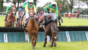 The Punter's Eye: Galway Races Day 1 Tips 