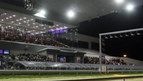 Limerick's Pat Buckley has four runners sparkle in the English Greyhound Derby