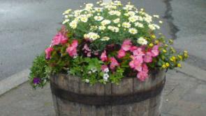 Almost 30 Irish towns and villages to benefit from &euro;2.6m streetscape enhancement fund