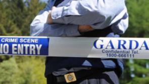 Gardai seize 11 vehicles from dealership as part of money laundering investigation