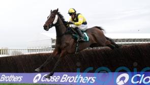 Skelton content to tackle Clarence task with Amoola Gold